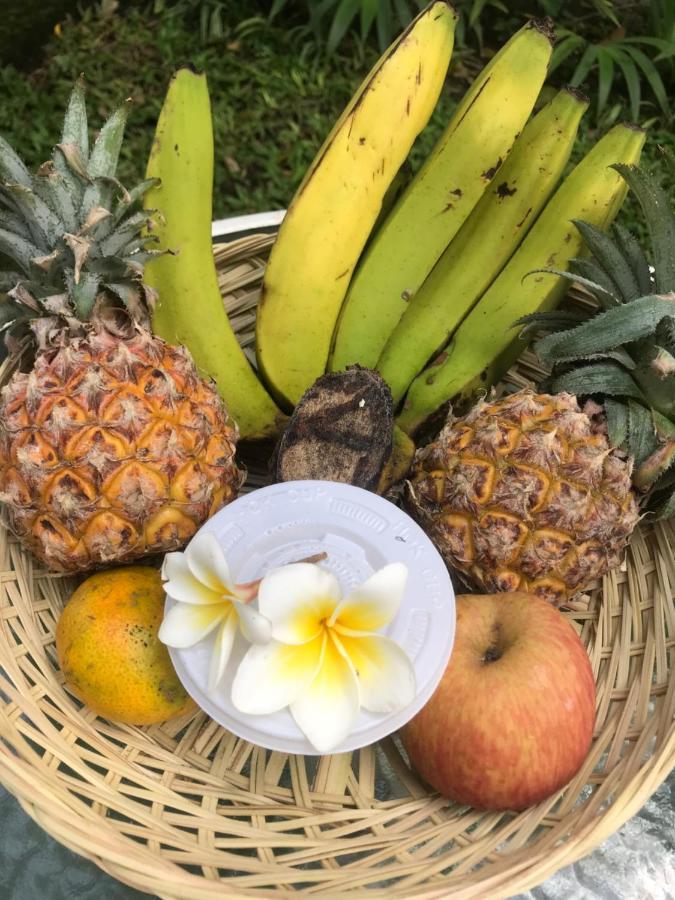 Apartmán Griya Telaga Jumpung Ubud Exteriér fotografie